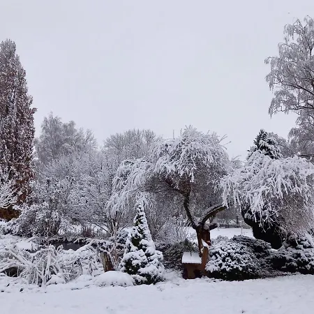 Emil's Kuhwiese * Breitenbach (Eichsfeld)