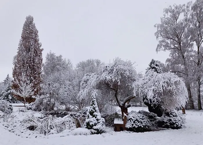 Emil's Kuhwiese * Breitenbach (Eichsfeld)